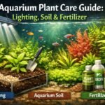Aquarium Plant Care Guide Lighting, Soil and Fertilizer